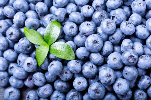 Moroccan Blueberries