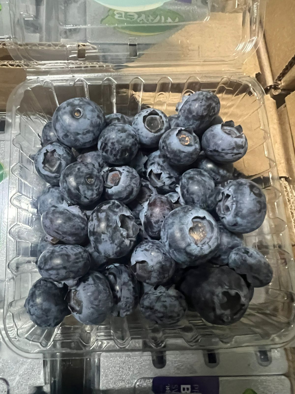 Garden Glow Field Sourcing